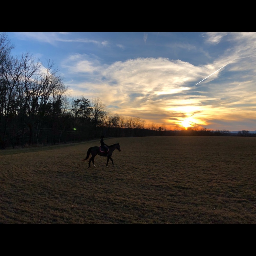 Meet your Posher, Riley